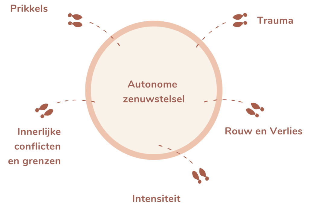 Morgen-Dans-je-Weer-autonome-zenuwstelsel-vijf-triggers